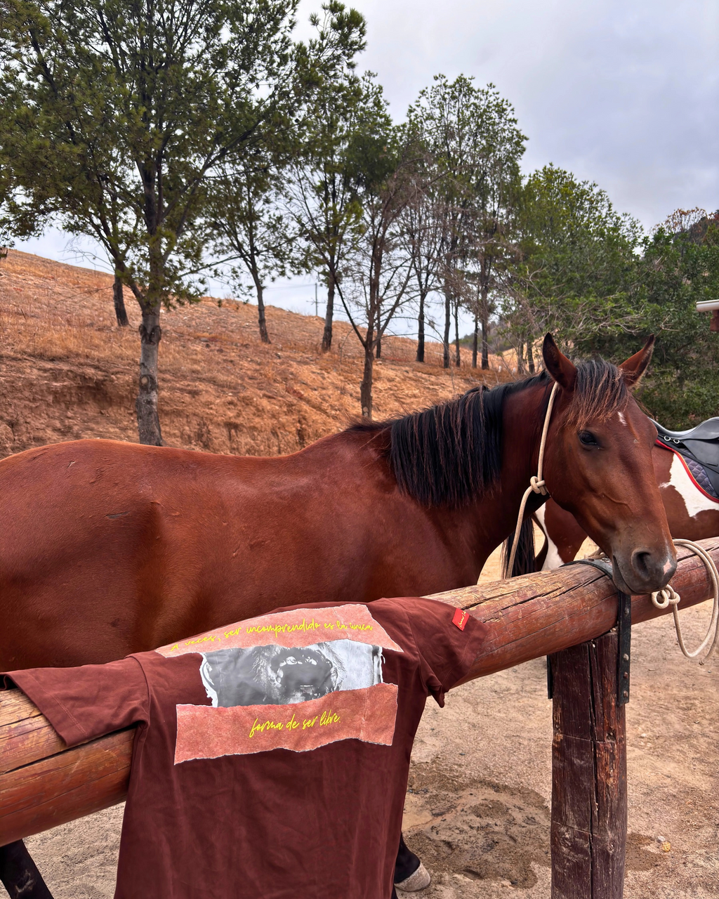 "A veces, ser incomprendido es la única forma de ser libre"