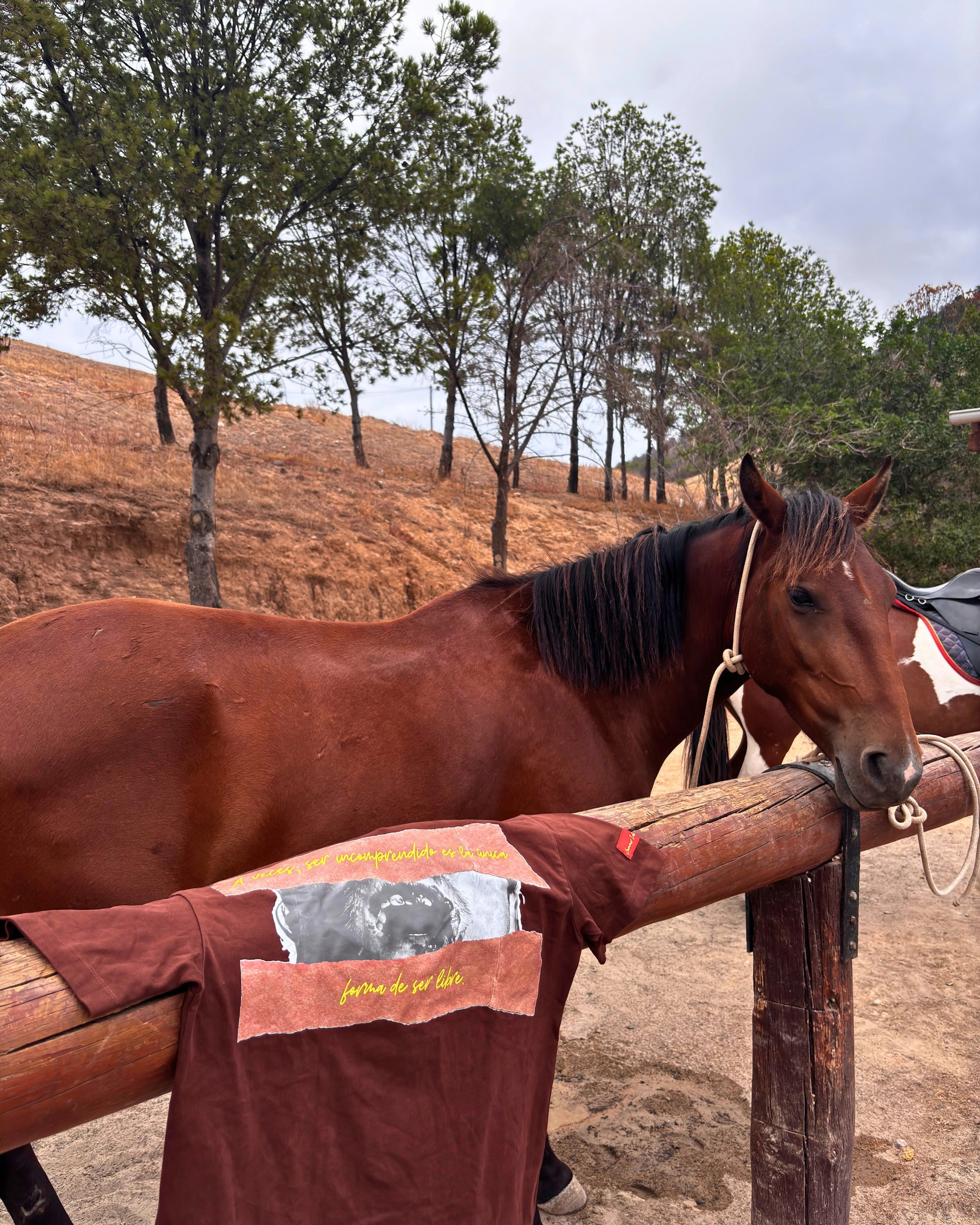 "A veces, ser incomprendido es la única forma de ser libre"
