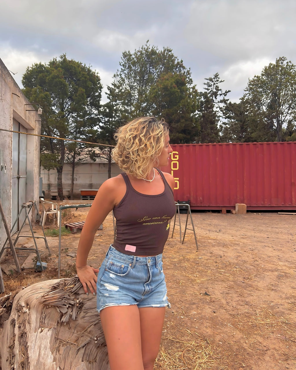 "Sono una burra americana?"