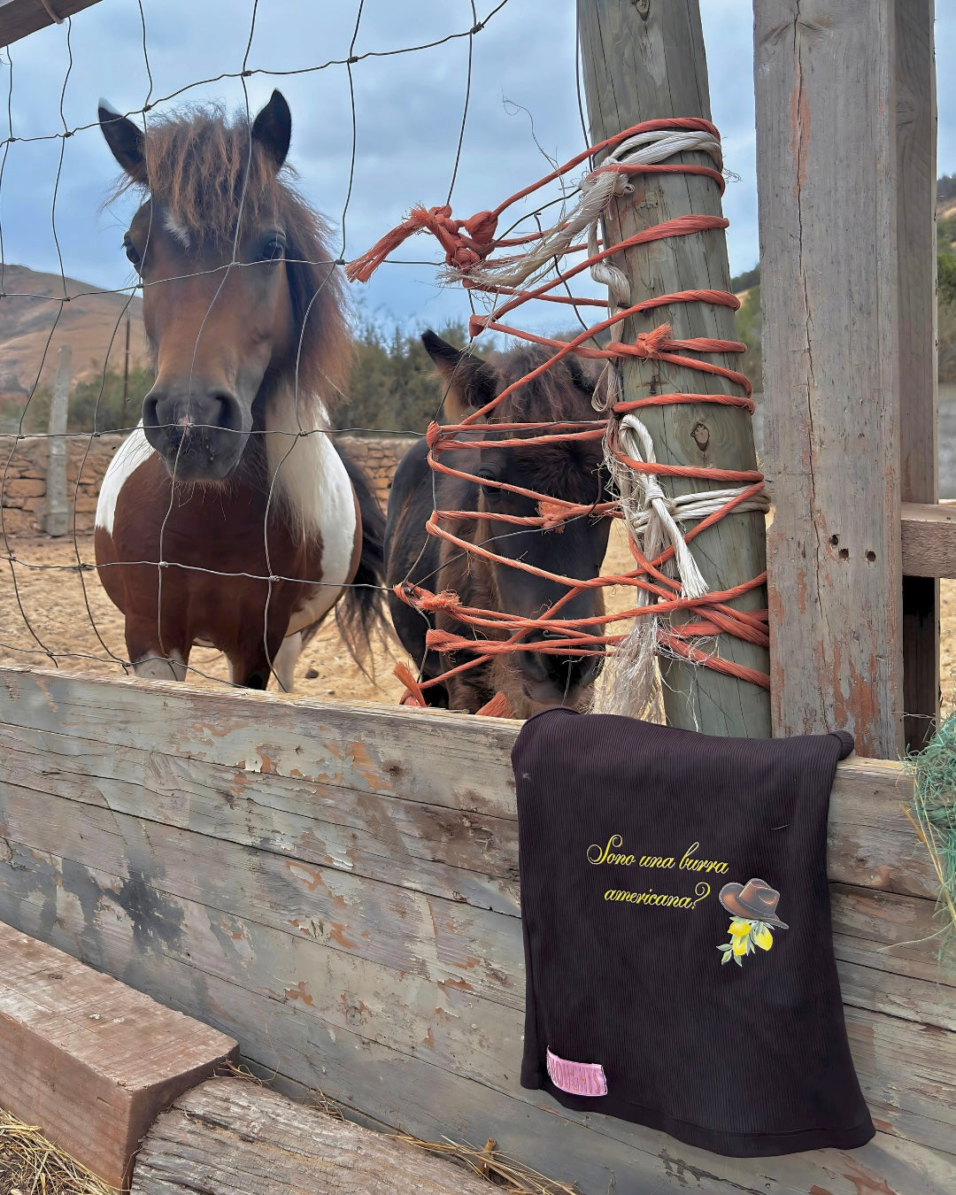 "Sono una burra americana?"